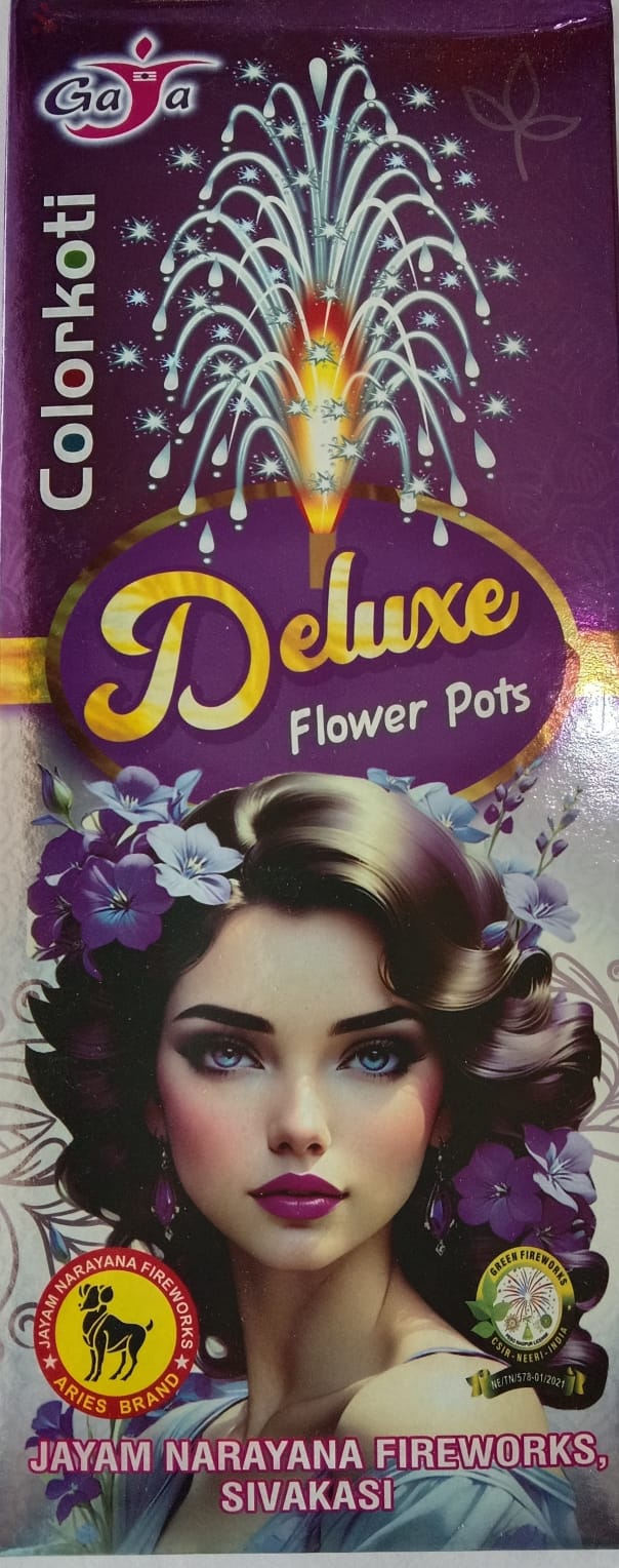 FANCY FLOWER POTS